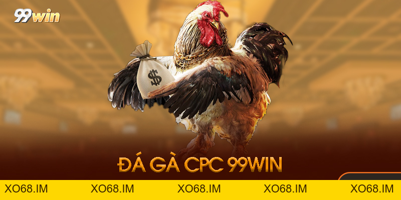 Đá Gà CPC 99win - Trải Nghiệm Đá Gà Chuyên Nghiệp 2026