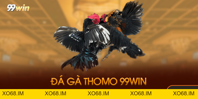 Đá Gà Thomo 99win - Sân Chơi Đá Gà Uy Tín Đỉnh Cao 2026