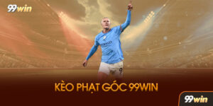 Blog Cá Cược 99WIN - Cẩm Nang Kiến Thức Cho Người Mới 2026